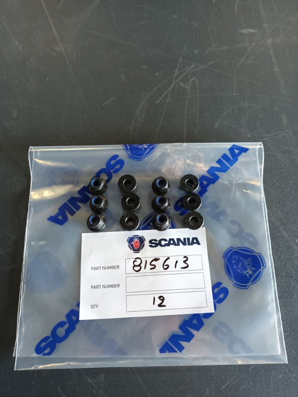 SCANIA 815613 LOCK NUT - Mantas Service